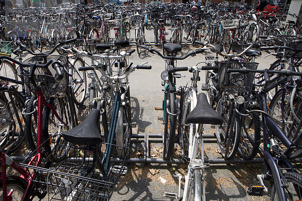 parken  Fahrrad  Rad  Größe