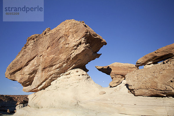 Felsformation am Stud Horse Point  Utah  USA  Amerika