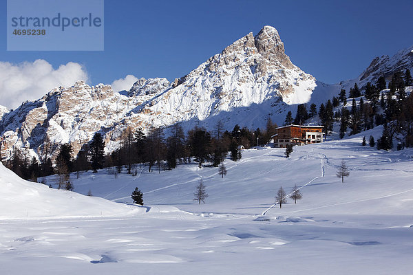 Fanesalm mit Faneshütte im Winter  Dolomiten  Südtirol  Italien  Europa