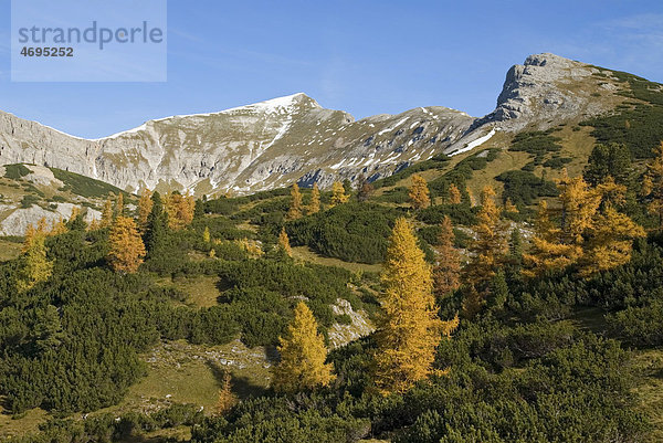 Herbst am Hochmölbing in der Steiermark  Österreich  Europa