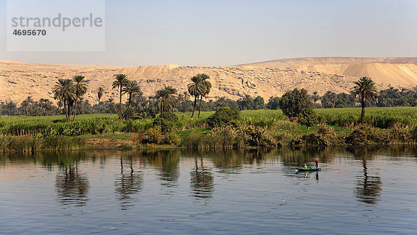 Palmen  die sich im Nil spiegeln  ƒgypten  Afrika