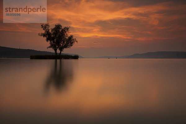 Sonnenuntergang am Klausenhorn bei Dingelsdorf  Bodensee  Baden-Württemberg  Deutschland  Europa