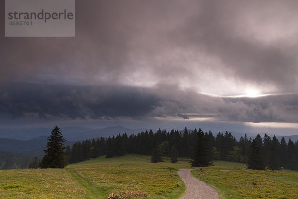Sonnenstimmung  Wolkenstimmung auf dem Herzogenhorn beim Feldberg im Südschwarzwald  Schwarzwald  Baden-Württemberg  Deutschland  Europa