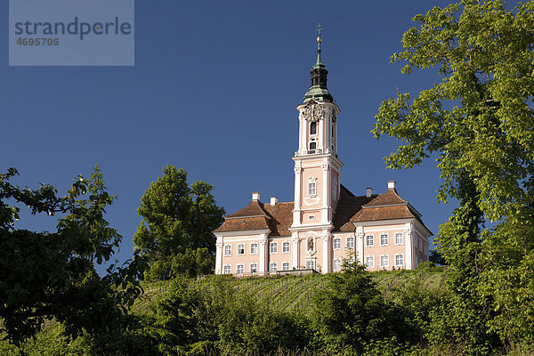 Kloster Birnau am Bodensee  Baden-Württemberg  Deutschland  Europa