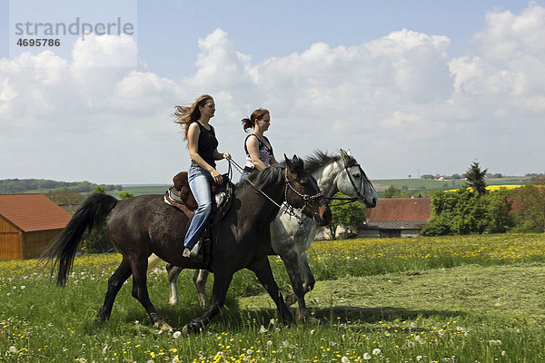 Zwei junge Frauen reiten auf ihren Pferden  Bayern  Deutschland  Europa