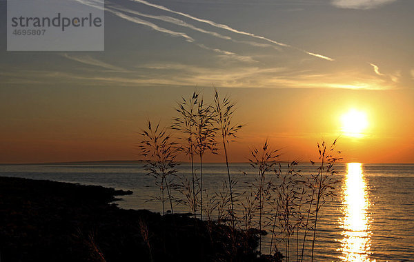 Sonnenuntergang  Insel Vir  Dalmatien  Kroatien  Europa