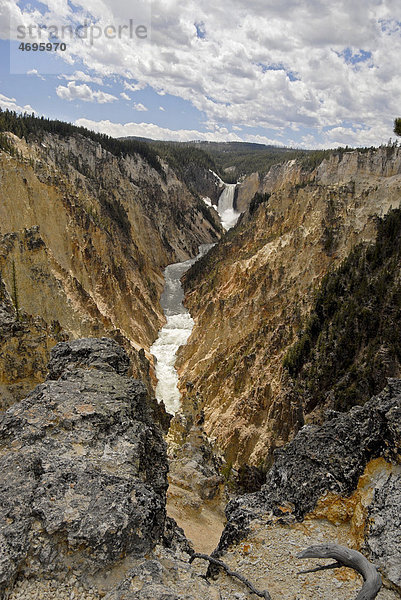 Lower Falls im Canyon Village  Yellowstone National Park  Wyoming  USA