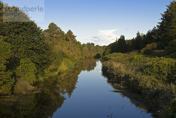 Morgenstimmung über dem Fluss Henne M¯lle _ in Henne Strand  Westjütland  Dänemark  Europa