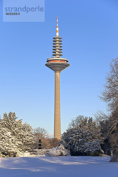 Fernsehturm  Europaturm oder inoffiziell Ginnheimer Spargel  mit dem Gedenk-Obelisk des ehemaligen Rothschildpalais im linken Vordergrund  Grüneburgpark im Winter  Frankfurt am Main  Hessen  Deutschland  Europa