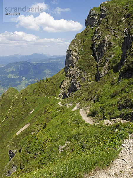 Wanderweg am Kitzbüheler Horn bei St. Johann  Tirol  Österreich  Europa