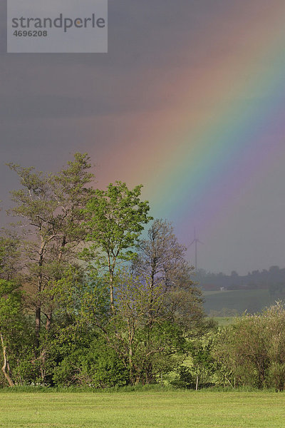 Regenbogen nach Gewitterschauer  Allgäu  Bayern  Deutschland  Europa