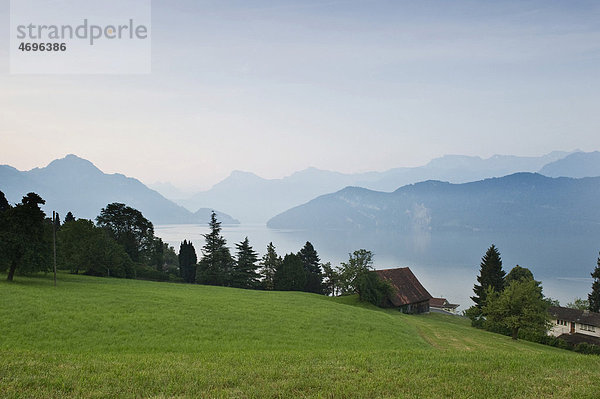 Morgenstimmung am Vierwaldstättersee bei Weggis  Kanton Luzern  Schweiz  Europa Kanton Luzern