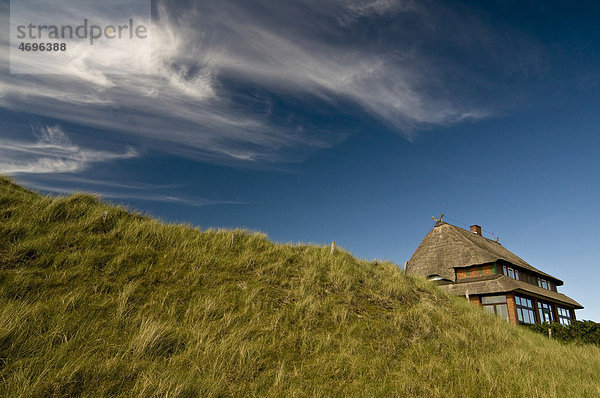 Thatched house in the dunes  Amrum island  Schleswig-Holstein  Germany  Europe