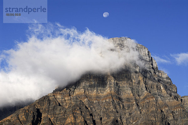 Wolkenfahne am Gipfel des Mt. Chephren  Banff Nationalpark  Rocky Mountains  Alberta  Kanada