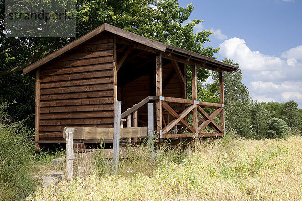 Observation hut on lake Dieksee  Bad Malente-Gremsmuehlen  Holstein Switzerland Nature Park  Schleswig-Holstein  Germany  Europe