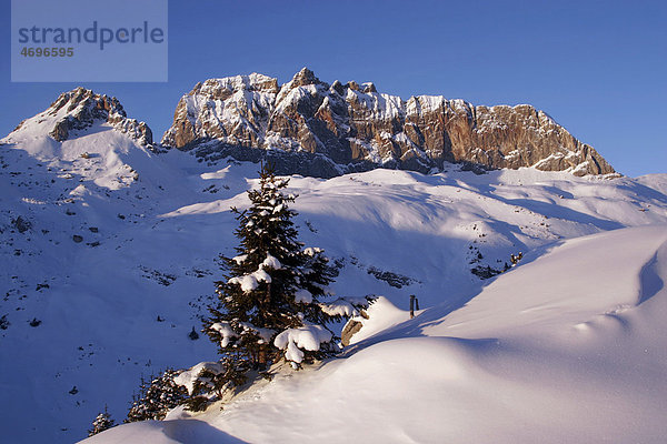 Rote Wand  Lechquellengebirge  Vorarlberg  Österreich  Europa