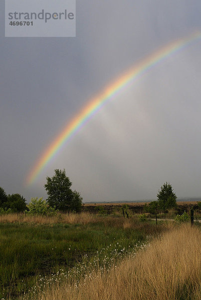 Regenbogen über dem Moor  Haren  Emsland  Niedersachsen  Deutschland  Europa