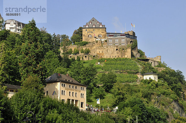 Burg Rheinfels bei St. Goar  UNESCO-Welterbe Oberes Mittelrheintal  Rheinland-Pfalz  Deutschland  Europa