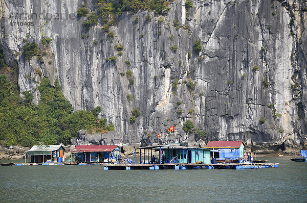 Schwimmende Siedlung  Halong Bucht  Vietnam  Südostasien
