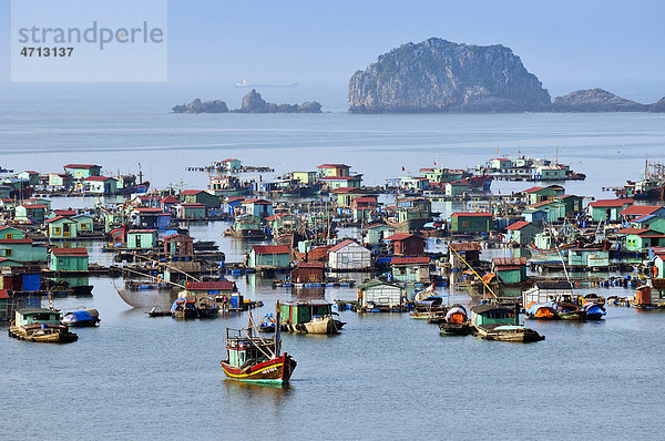 Hafen von Cat Ba  Halong Bucht  Vietnam  Südostasien