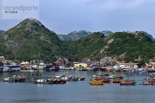 Hafen von Cat Ba  Halong Bucht  Vietnam  Südostasien