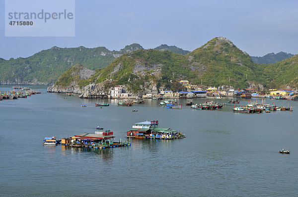 Hafen von Cat Ba  Halong Bucht  Vietnam  Südostasien