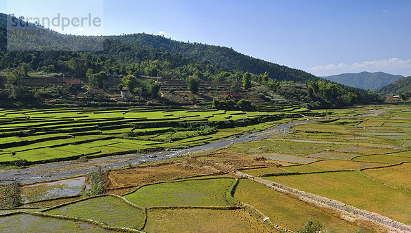 Mai Chau Tal  Vietnam