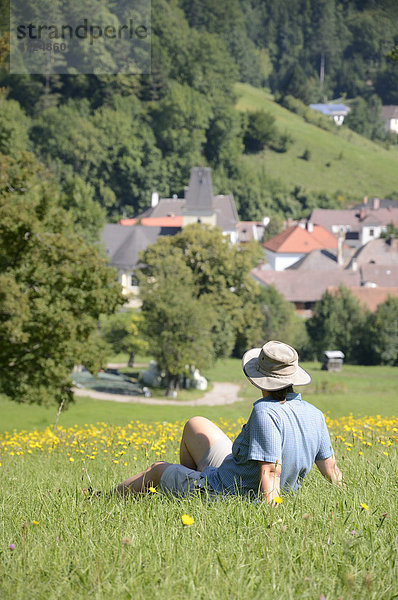 View over Furth  Triestingtal  Lower Austria  Austria  Europe