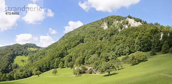 Felsen des Gaisstein und Bauernhof  Gaissteiner  Triestingtal  Niederösterreich  Österreich  Europa