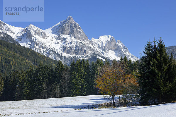 Reichenstein  2251 m  von Wiese bei Abzweigung Kaiserau  Gesäuse  Steiermark  Österreich  Europa