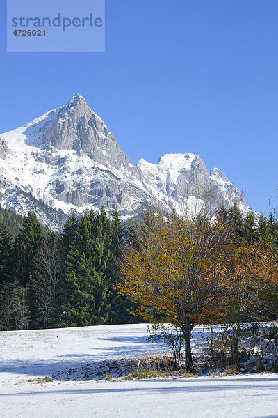 Reichenstein  2251 m  von Wiese bei Abzweigung Kaiserau  Gesäuse  Steiermark  Österreich  Europa