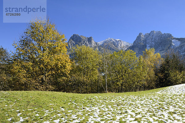 Wiese mit Schnee und Kreuzkogel  Gesäuse  Steiermark  Österreich  Europa