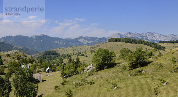 Landschaft der Durmitor Berge  Montenegro  Europa
