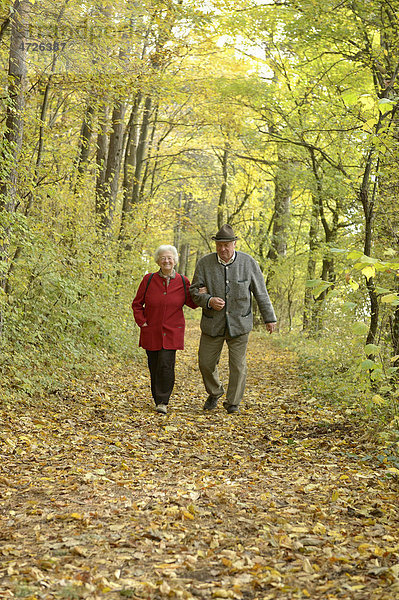 Herbstspaziergang eines Pensionistenpaares  Großau  Niederösterreich  Österreich  Europa