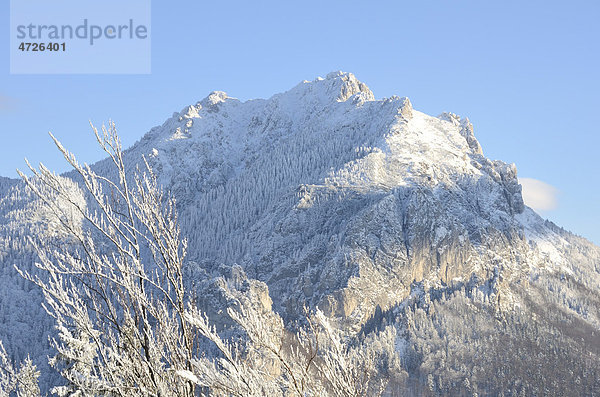 Velk_ Roszutek  1609 m  vom Boboty  1085m  aus gesehen  Stefanov·  Mala Fatra Nationalpark  Slowakei  Europa