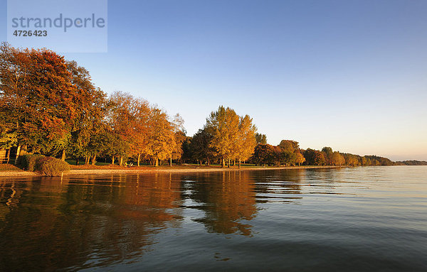 Herbststimmung am Starnberger See  Erholungsgelände Ostufer  Oberbayern  Bayern  Deutschland  Europa