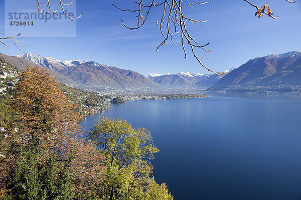 Blick über den Lago Maggiore nach Ascona und Locarno  Ronco sopra Ascona  Tessin  Schweiz  Europa