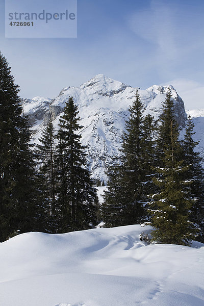 Bergkette im Winter  Abtenau  Österreich  Europa