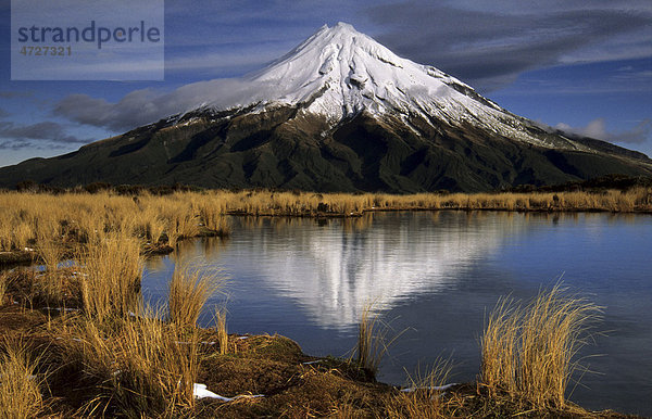 Spiegelung des Mt. Taranaki in den Pouakai Tarns  Taranaki  Mt. Egmont Nationalpark  Nordinsel  Neuseeland