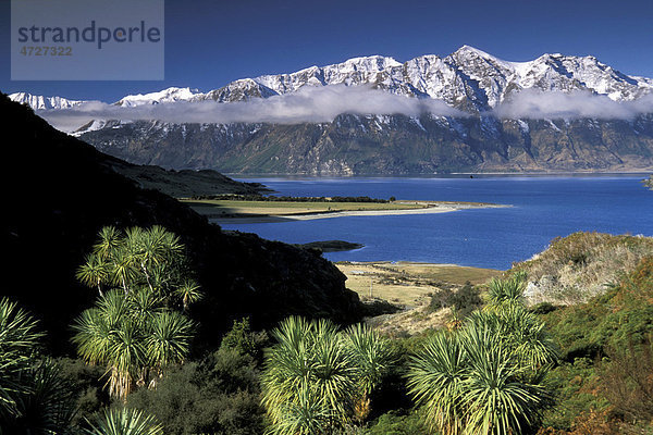 Ausblick von The Neck auf Lake Hawea  Otago  Südinsel  Neuseeland