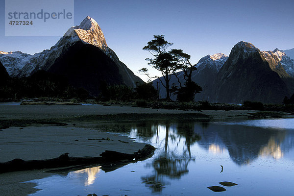 Milford Sound  Fiordland Nationalpark  Südinsel  Neuseeland