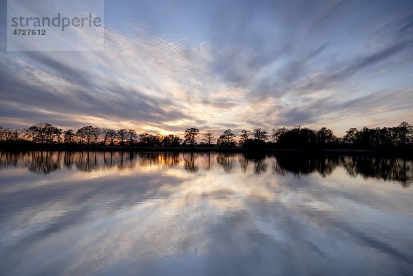 Abendstimmung an einem Karpfenteich in der Heide- und Teichlandschaft Oberlausitz  Sachsen  Deutschland  Europa