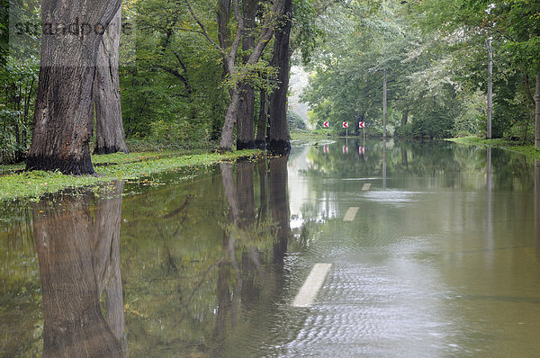 Hochwasser überschwemmt eine Straße in Dessau  Sachsen-Anhalt  Deutschland  Europa