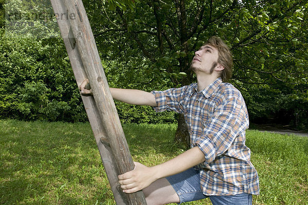 Bauer besteigt Leiter zu einem Obstbaum