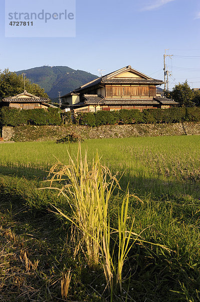 Reisfelder vor Bauernhof  Iwakura  Kyoto  Japan  Ostasien  Asien