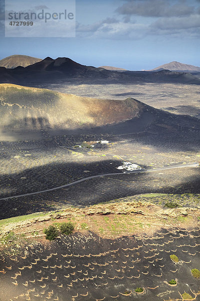 Aussicht vom Montana Guardilama auf die Vulkanlandschaft um La Geria  Lanzarote  Kanarische Inseln  Spanien  Europa
