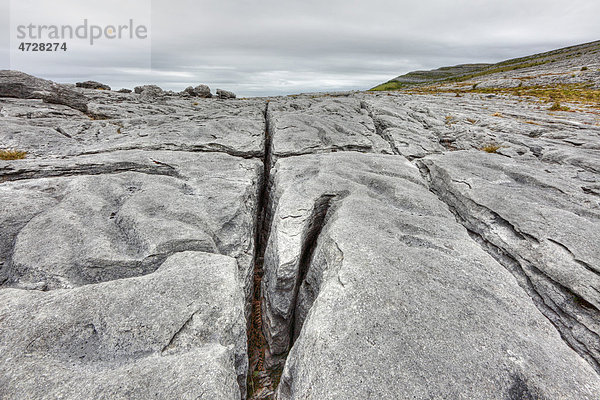 Karst-Felsen  Burren  County Clare  Republik Irland  Europa