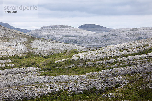 Burren Nationalpark  County Clare  Republik Irland  Europa