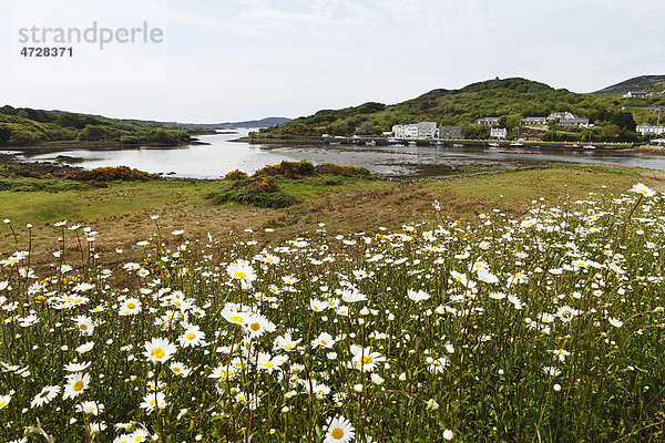 Clifden Bay  Clifden  Connemara  County Galway  Republik Irland  Europa