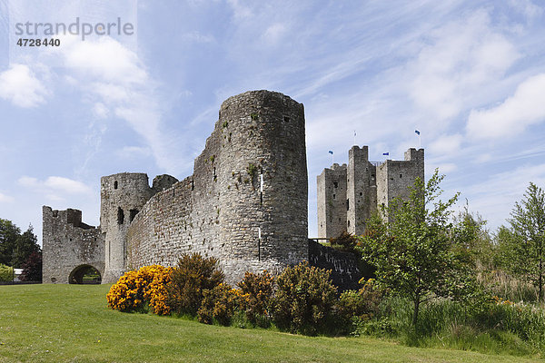 Trim Castle  County Meath  Leinster  Republik Irland  Europa